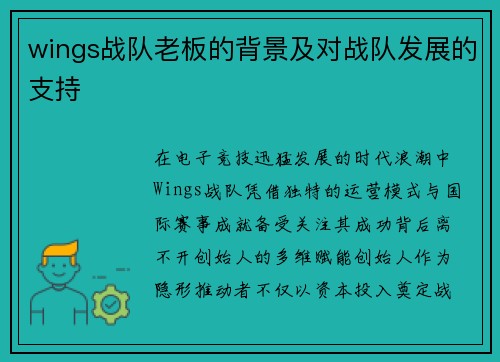 wings战队老板的背景及对战队发展的支持